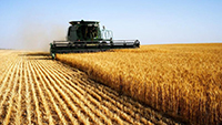 Zemědělství01